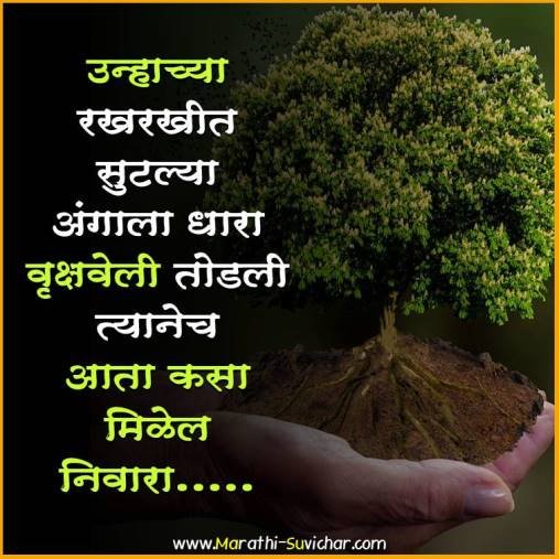 marathi slogans on save trees